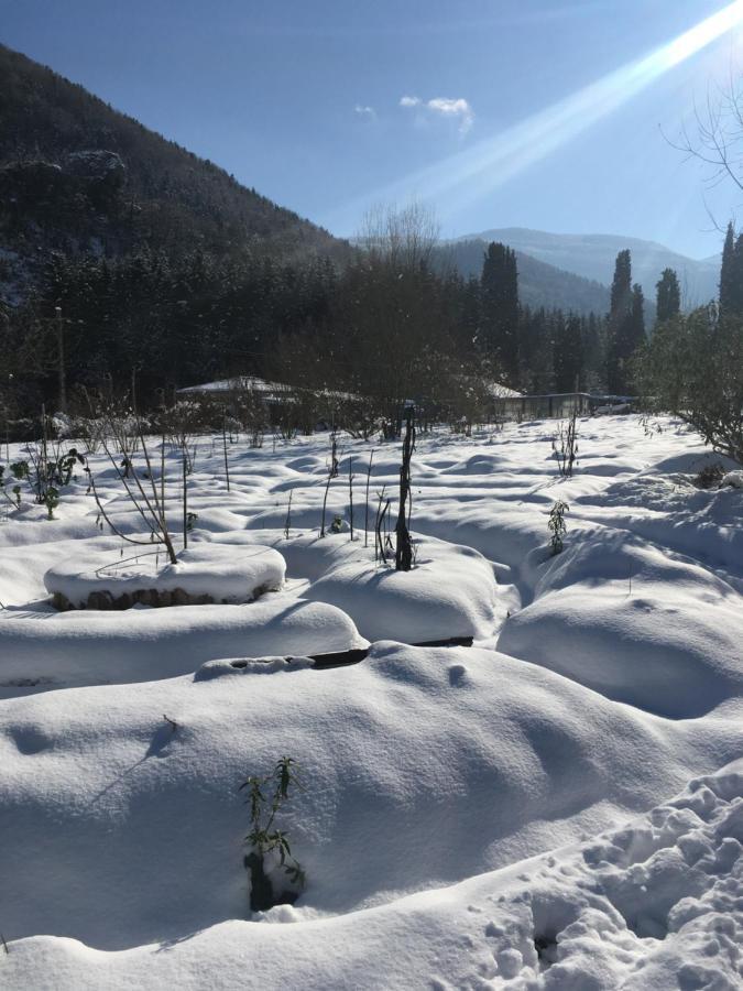 Sejour Chez L'Habitant Homestay Fougax-et-Barrineuf Dış mekan fotoğraf
